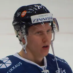 Portrait of Niko Mikkola
