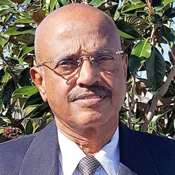Portrait of Anantanarayanan Raman