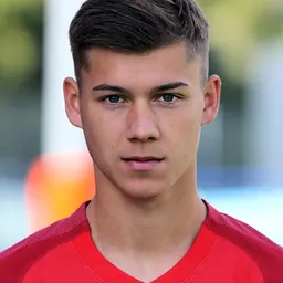 Portrait of Lukas Malicsek