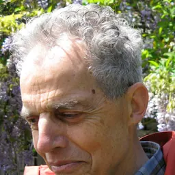 Portrait of Maarten van Emden
