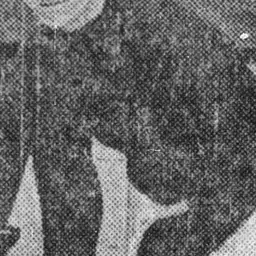 Portrait of Willard Rice