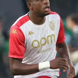 Portrait of Denis Zakaria