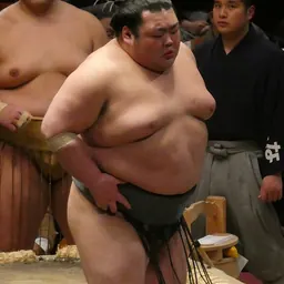 Portrait of Kotarō Fujōzan
