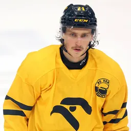 Portrait of Lukas Vopelka
