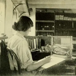 Portrait of Isabel Cooper