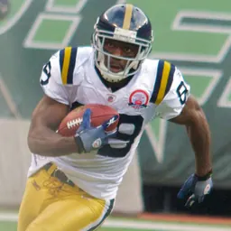 Portrait of Jerricho Cotchery