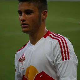 Portrait of Ante Roguljić