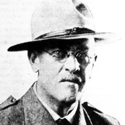Portrait of Theodore W. Goldin