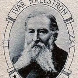 Portrait of Ivar Hallström