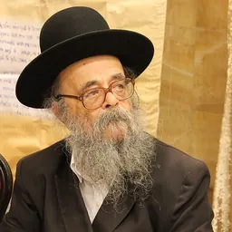 Portrait of Dovid Shmidel