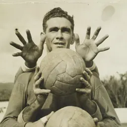 Portrait of Castilho