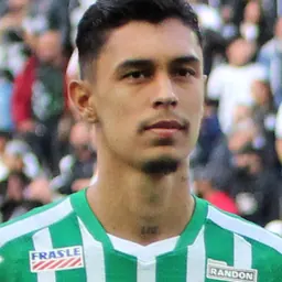 Portrait of Vitor Mendes