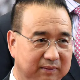 Portrait of Liu Guangyuan