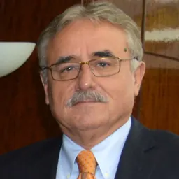 Portrait of Viorel Ștefan