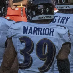 Portrait of Nigel Warrior
