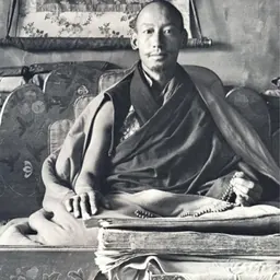 Portrait of Zong Lobzang Tsondru Tubten Gyeltsen