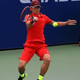 Portrait of Hong Seong-chan