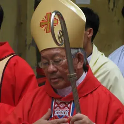 Portrait of Pierre Nguyễn Văn Nhơn