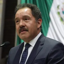 Portrait of Ignacio Mier Velazco