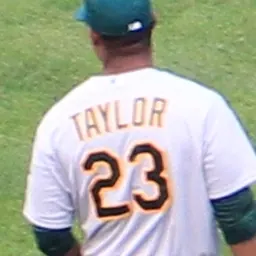 Portrait of Michael Taylor