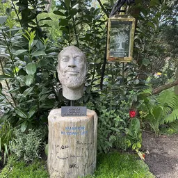 Portrait of Ademola Okulaja