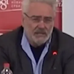 Portrait of Branimir Nestorović