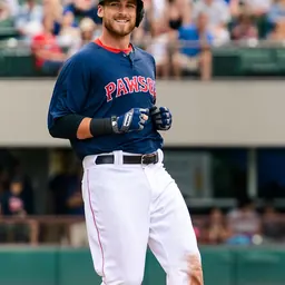 Portrait of Will Middlebrooks