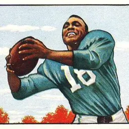 Portrait of Wallace Triplett