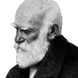 Portrait of Heinrich Gerber