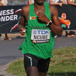 Portrait of Ngonidzashe Ncube