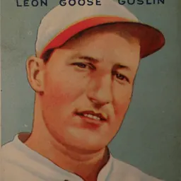 Portrait of Goose Goslin