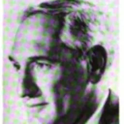 Portrait of Charles Frankel