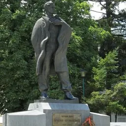 Portrait of Branko Krsmanović