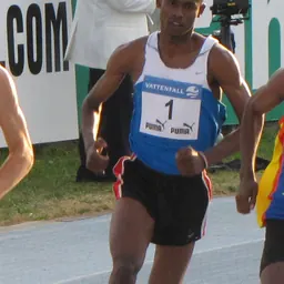 Portrait of Mohammed Al-Salhi
