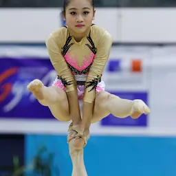 Portrait of Mo Zhixin