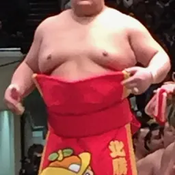 Portrait of Hokutōfuji Daiki