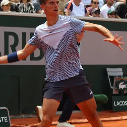 Portrait of Dino Prižmić