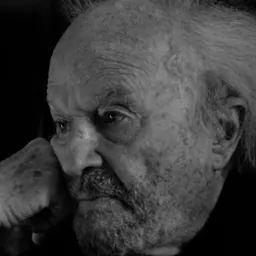 Portrait of José Bénazéraf