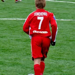 Portrait of Artem Semenenko