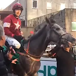 Portrait of David Mullins