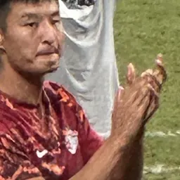 Portrait of Liu Jiashen
