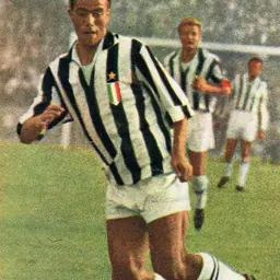 Portrait of Bruno Nicolè
