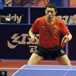 Portrait of Xu Xin