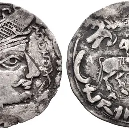 Portrait of Sawashfan
