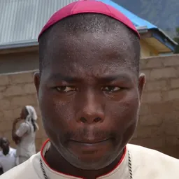 Portrait of Stephen Dami Mamza