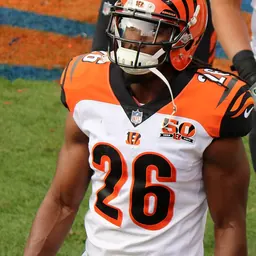Portrait of Josh Shaw