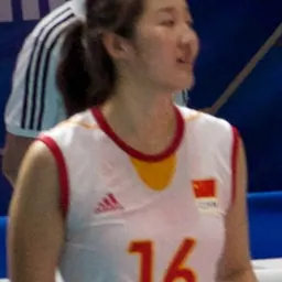 Portrait of Wang Huimin