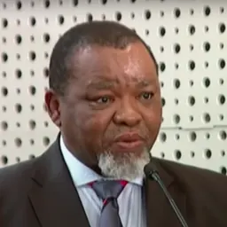 Portrait of Gwede Mantashe