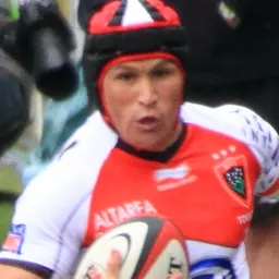 Portrait of Matt Giteau