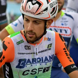 Portrait of Giovanni Carboni